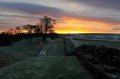 Willowford Farm